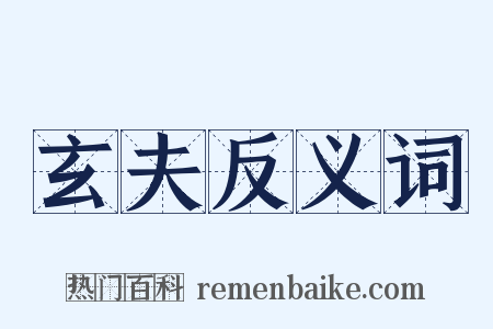 玄夫反义词是什么意思的图片
